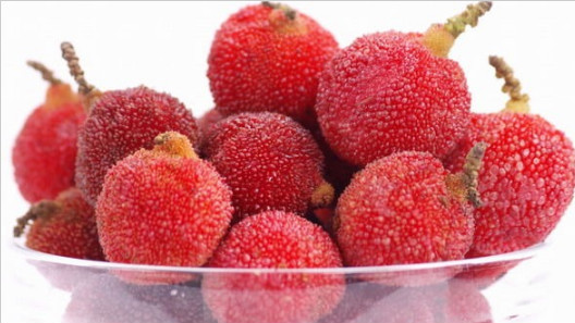 楊梅酒的做法，楊梅酒的制作